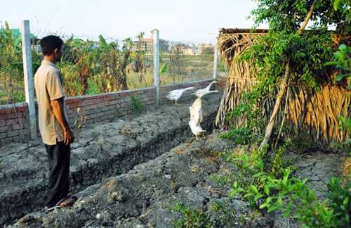 Ông Bỉ dựng chòi để cất máy bơm, nhân tiện nuôi thêm vài con ngỗng nhưng không thể ngờ sau đó mình lại bị khởi tố hình sự.