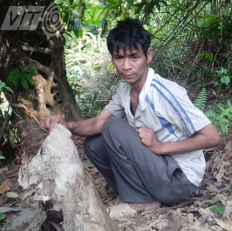 Người rừng A Tinh từng coi nơi này là chỗ nghỉ 