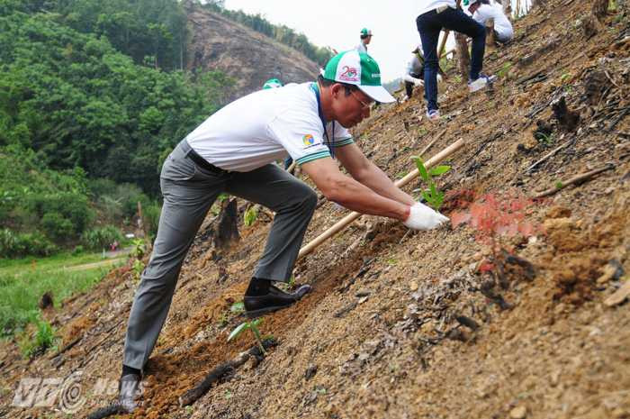 Phó Tổng giám đốc Vũ Quang Tâm tham gia trồng rừng - Ảnh: Tùng Đinh