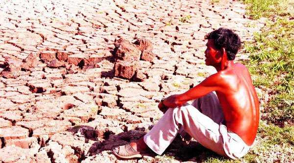 Tình trạng ngập mặn ở mức báo động tại Đồng bằng Sông Cửu Long