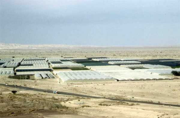 Một nông trại tại sa mạc Avara, Isarel