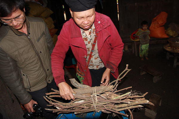Từ già đến trẻ, trai đến gái đều uống thứ nước ấy, nên gần như họ miễn nhiễm với các loại bệnh về gan. 