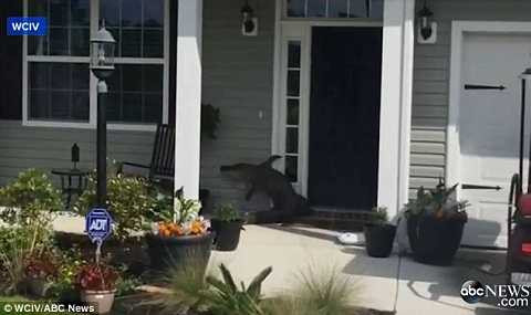 Nỗ lực gọi cửa chủ nhà những bất thành