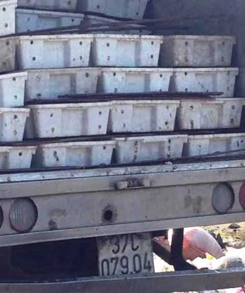 Hơn 3 tấn cá đang phân hủy suýt được đưa đi làm nước mắm Hơn 3 tấn cá đang phân hủy suýt được đưa đi làm nước mắm