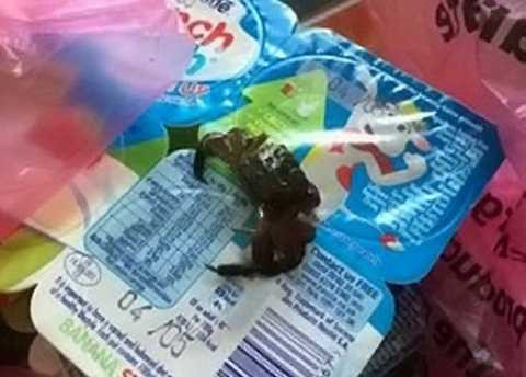 Cô đã gọi tới chăm sóc khách hàng của dịch vụ bán hàng trực tuyến Tesco và nhận lại lời giải thích thiếu trách nhiệm. Ảnh The Mirror Cô đã gọi tới chăm sóc khách hàng của dịch vụ bán hàng trực tuyến Tesco và nhận lại lời giải thích thiếu trách nhiệm. Ảnh The Mirror