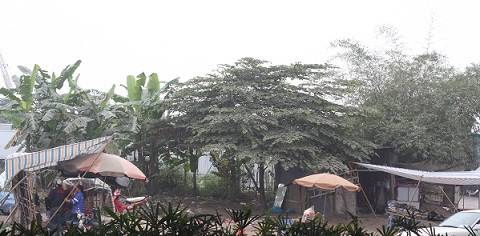 niềm tự hào của Hà Nội đang bị những quầy hàng nhếch nhác dựng lên bằng lều bạt làm xấu đi