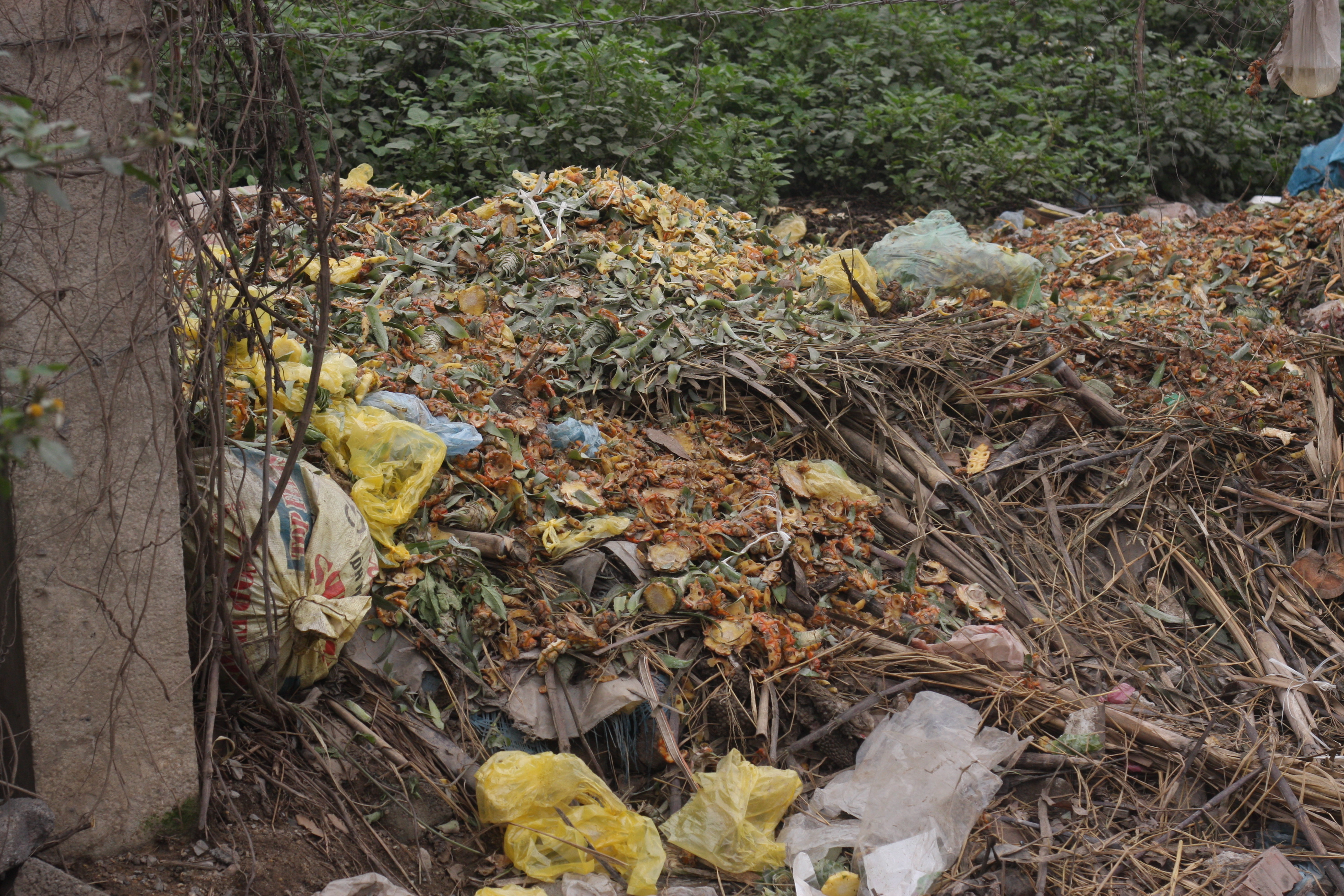 Bãi rác hôi thối