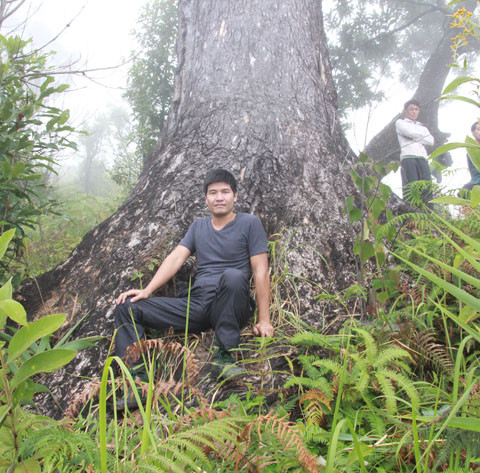 Tác giả dưới gốc một cây vân du khổng lồ