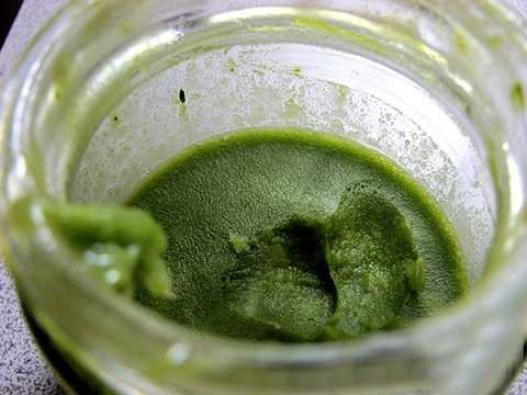 Lá ổi có hiệu quả trong việc loại bỏ các nốt mụn và các vết thâm trên da