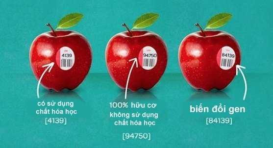 Làm thế nào nhận biết hoa quả biến đổi gen đơn giản nhất?