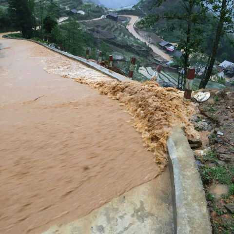 Lào Cai: Nhà dân tốc mái, hàng loạt gia súc bị sét đánh chết