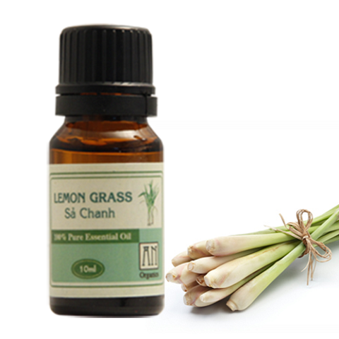 Muỗi rất sợ các mùi hương của tinh dầu, vì vậy, tinh dầu được xem là phương pháp đuổi muỗi rất hiệu quả mà an toàn Muỗi rất sợ các mùi hương của tinh dầu, vì vậy, tinh dầu được xem là phương pháp đuổi muỗi rất hiệu quả mà an toàn