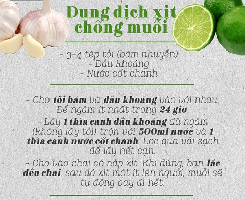 Mùi tỏi cũng khiến muỗi phát sợ và chúng sẽ tự động bay đi khi gặp mùi này Mùi tỏi cũng khiến muỗi phát sợ và chúng sẽ tự động bay đi khi gặp mùi này