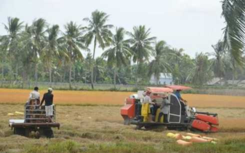 Miền Tây mất 800 triệu USD/năm vì lạc hậu, dầu thế giới giảm - xăng trong nước 'đứng yên'