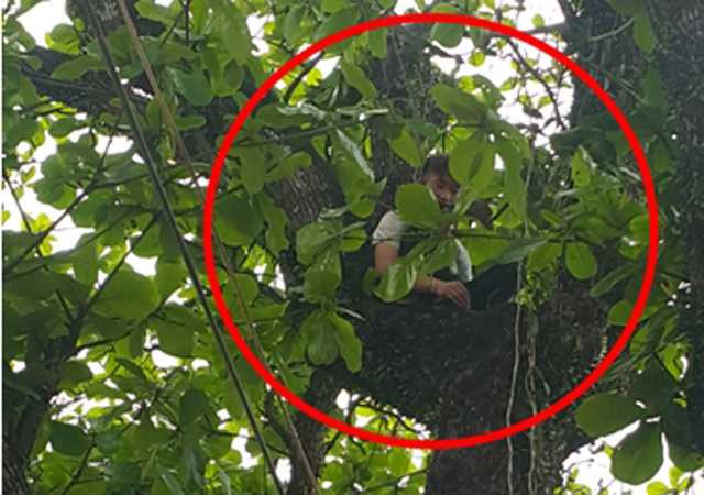 Nam thanh niên ngồi vắt vẻo trên cây từ 00h30 phút ngày 28.4.
