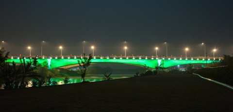 Nổi bật trong màu xanh rực rỡ