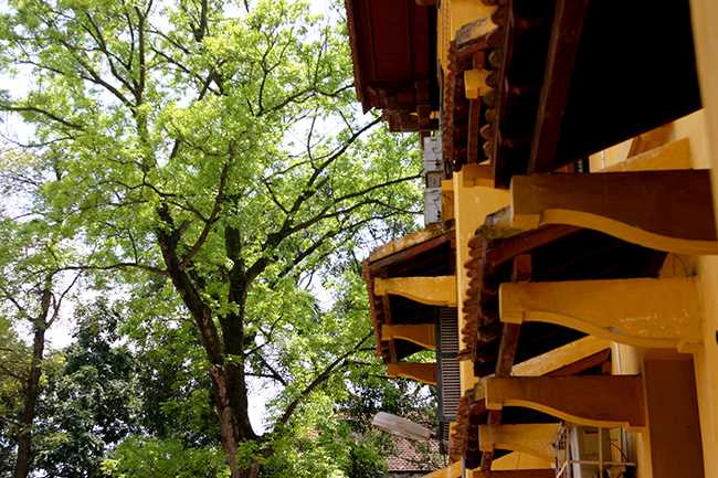 Ngắm nét kiến trúc cổ kính của trường đại học Đông Dương