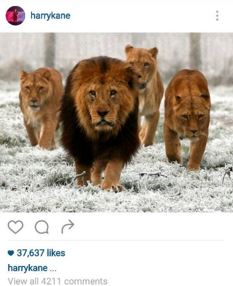 Harry Kane thể hiện quyết tâm của Tottenham Harry Kane thể hiện quyết tâm của Tottenham