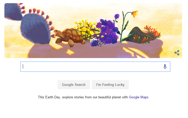 Loài rùa xuất hiện trong doodle thứ 5 của Google ngày 22/4