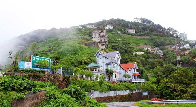 Ảnh: Internet Ảnh: Internet