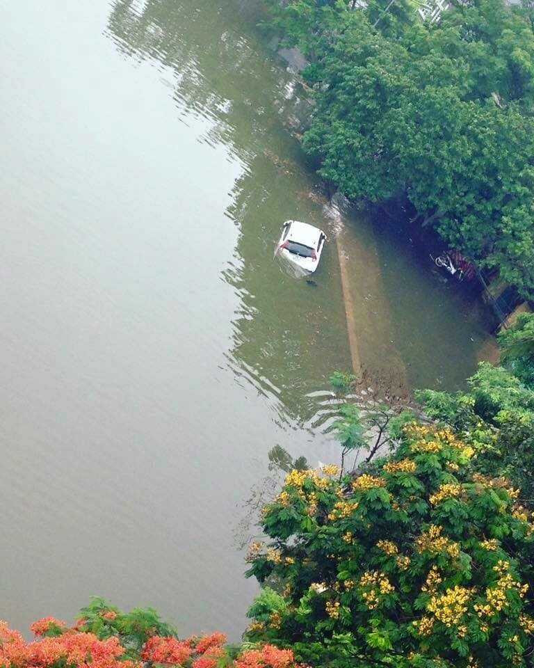 Ngâm mình giữa dòng nước lớn Ảnh otofun.