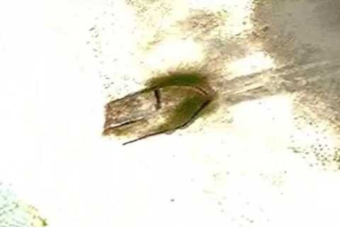 Người ngoài hành tinh đã xây dựng căn cứ trong hệ mặt trời và hấp thụ ảnh sáng mặt trời như con người. Ảnh The Mirror Người ngoài hành tinh đã xây dựng căn cứ trong hệ mặt trời và hấp thụ ảnh sáng mặt trời như con người. Ảnh The Mirror