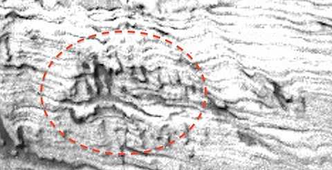 Thợ săn UFO nhận diện hình ảnh về một người đàn ông đang chạy và một con rắn khắc trên đá ở sao Hỏa. Ảnh The Mirror