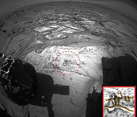 Bức ảnh của NASA cho thấy hình ảnh một người đàn ông và một con rắn khắc trên đá ở sao Hỏa. Ảnh Dailymail