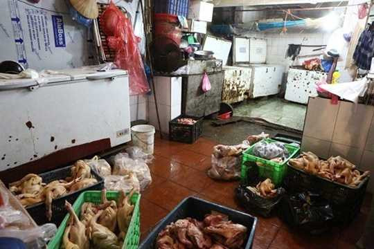 Thậm chí, cơ sở này còn bơm nước vào từng con gà nhằm tăng trọng lượng và làm cho da, bắp gà căng lên để bán cho người tiêu dùng. Toàn bộ số gà được chế biến trên nền nhà bẩn, nhớp nháp, không đảm bảo vệ sinh. Ảnh: Zing. Thậm chí, cơ sở này còn bơm nước vào từng con gà nhằm tăng trọng lượng và làm cho da, bắp gà căng lên để bán cho người tiêu dùng. Toàn bộ số gà được chế biến trên nền nhà bẩn, nhớp nháp, không đảm bảo vệ sinh. Ảnh: Zing.