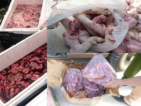 Không ít lần, cơ quan chức năng phát hiện hàng tấn nội tạng gà, chân cổ cánh gà và giò heo được ngâm tẩm hóa chất chống phân hủy, đang vận chuyển đến các nhà hàng để cung ứng cho người tiêu dùng. Ảnh: ANTĐ. Không ít lần, cơ quan chức năng phát hiện hàng tấn nội tạng gà, chân cổ cánh gà và giò heo được ngâm tẩm hóa chất chống phân hủy, đang vận chuyển đến các nhà hàng để cung ứng cho người tiêu dùng. Ảnh: ANTĐ.
