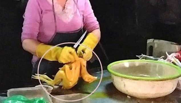 Bất chấp nguy hiểm đến sức khỏe người mua, không ít tiểu thương dùng hóa chất, vecni (dùng làm bóng gỗ) để nhuộm gà vàng ruộm mang đi bán. Ảnh minh họa. Bất chấp nguy hiểm đến sức khỏe người mua, không ít tiểu thương dùng hóa chất, vecni (dùng làm bóng gỗ) để nhuộm gà vàng ruộm mang đi bán. Ảnh minh họa.