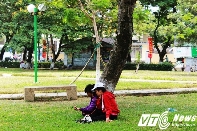 Nhiều bạn sinh viên phải rời phòng trọ vì quá nóng để tìm đến công viên ôn bài.