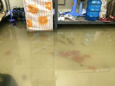 Mưa lớn nên cá theo nước vào nhà Ảnh otofun.