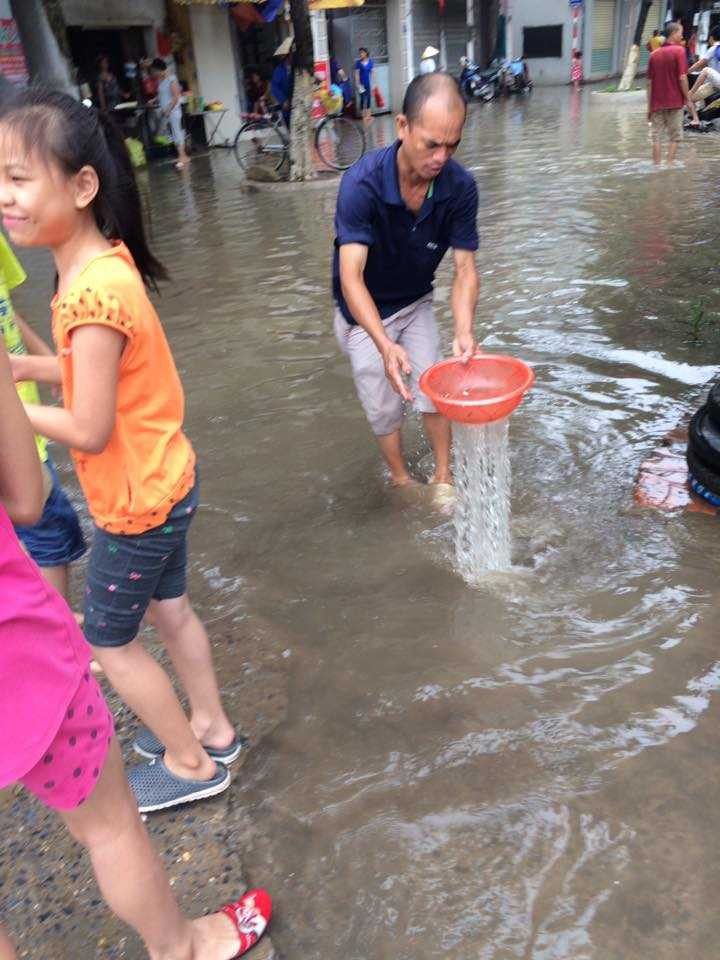 người dân bắt cá giữa phố Ảnh otofun.