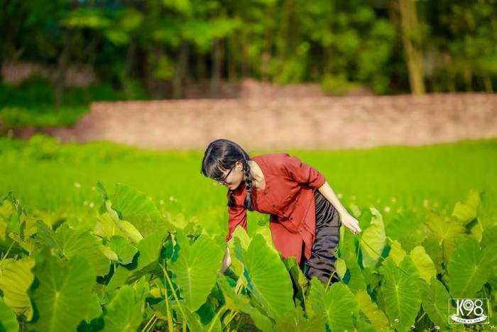 Bộ ảnh kỷ yếu “nông thôn” độc, lạ của học sinh Bắc Giang