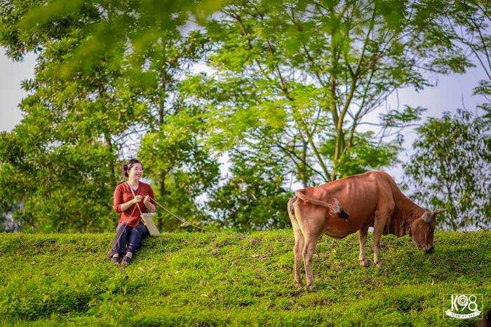 Bộ ảnh kỷ yếu “nông thôn” độc, lạ của học sinh Bắc Giang