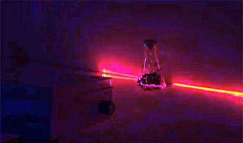 Ánh sáng laser đã được sử dụng để kích thích tăng trưởng ở một số loại cây trồng. Ảnh Dailymail