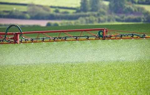 Trồng cây bằng công nghệ laser đem lại năng suất tăng gấp 2 lần. Ảnh Dailymail