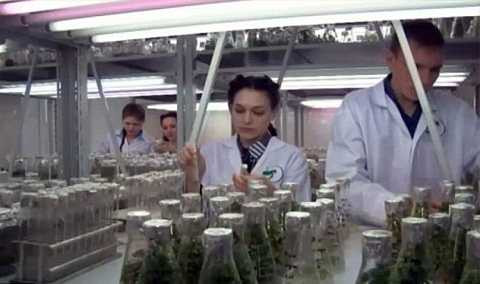 Ánh sáng laser còn giúp diệt sạch mầm mống sâu bệnh. Ảnh Dailymail