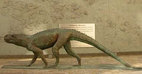 Dấu chân thuộc về một loài bò sát có tên là Isochirotherium, tổ tiên của loài khủng long và cá sấu. Ảnh Mirror 