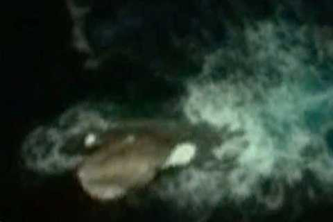 Phát hiện này đang gây tranh cãi gay gắt. Ảnh The Mirror