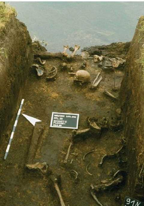 Những bộ xương được tìm thấy ở khúc vượt sông ra biển Baltic. Ảnh Dailymail