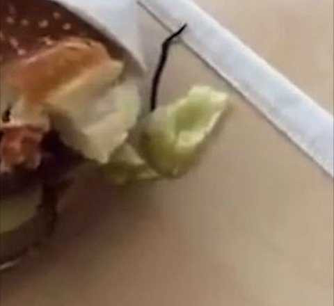 Diana cắn vào chiếc bánh và phát hoảng khi thấy một con sâu đen bò ra. Ảnh The Mirror