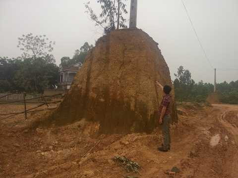 Việc khai thác đất ở đây diễn ra công khai.