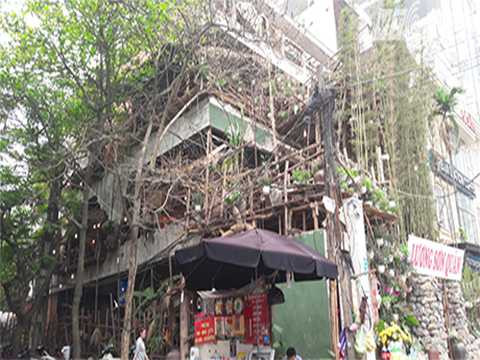 rên tuyến phố Thái Hà sầm uất, chủ Lương Sơn Quán đã trồng rào tre, lợp mái ngói theo kiểu sắp đổ, dựng cổng bằng đá hộc, kê chum rượu... ngay phía trước mặt tiền ngôi nhà. rên tuyến phố Thái Hà sầm uất, chủ Lương Sơn Quán đã trồng rào tre, lợp mái ngói theo kiểu sắp đổ, dựng cổng bằng đá hộc, kê chum rượu... ngay phía trước mặt tiền ngôi nhà.