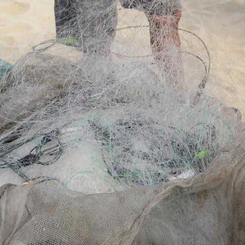 Quảng Bình đề nghị Bộ TN&MT xác minh hiện tượng lạ dưới đáy biển