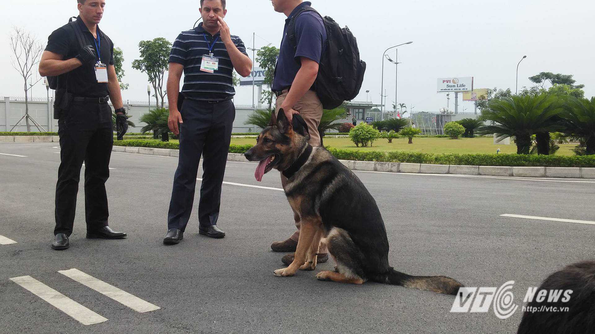 Chó nghiệp vụ Mỹ được điều đến sân bay Nội Bài (ảnh: Tùng Đinh)
