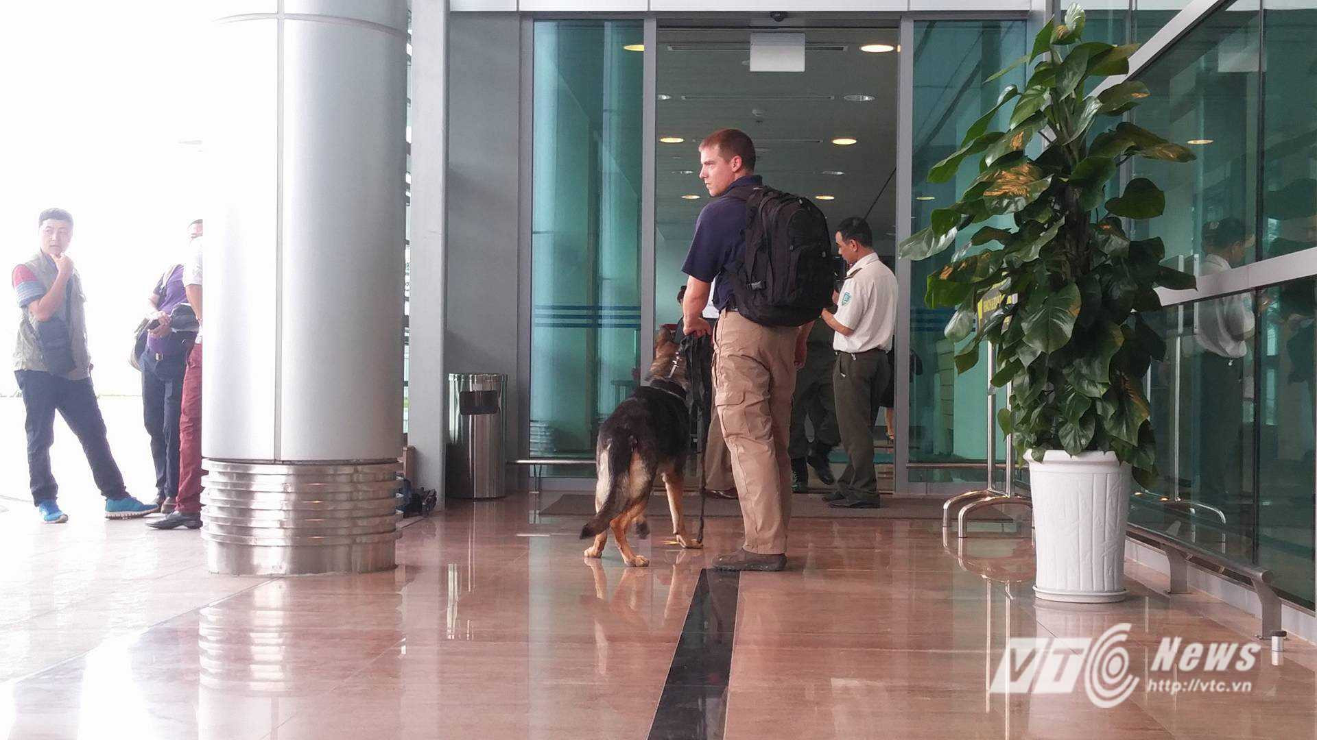 (ảnh: Tùng Đinh) 