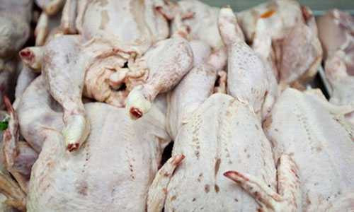 Người tiêu dùng lo ngại phải đối mặt với tình trạng gà bẩn tràn lan nếu cho phép nhập khẩu gà Trung Quốc.