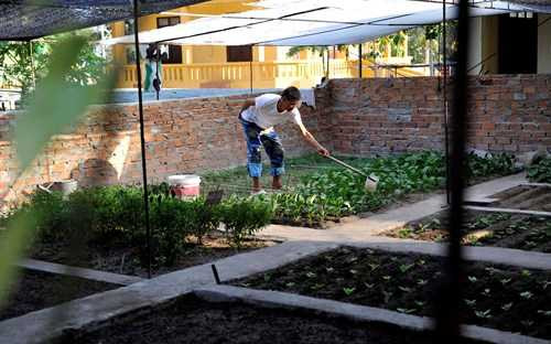 Ấn tượng vườn rau và nhà giàn DK1 của lính đảo Trường Sa